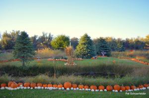 12169176_10206477396711064_1600804477_o